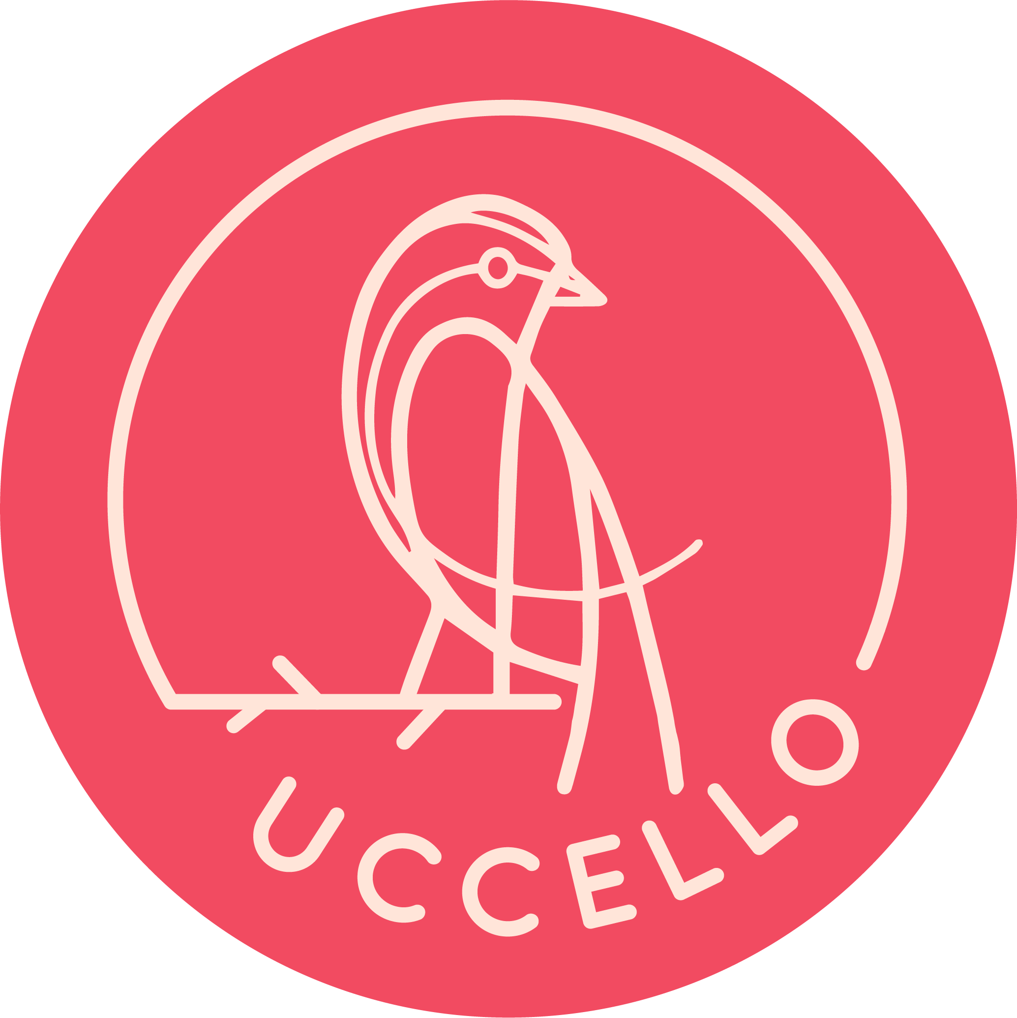 Logo Agence Uccello